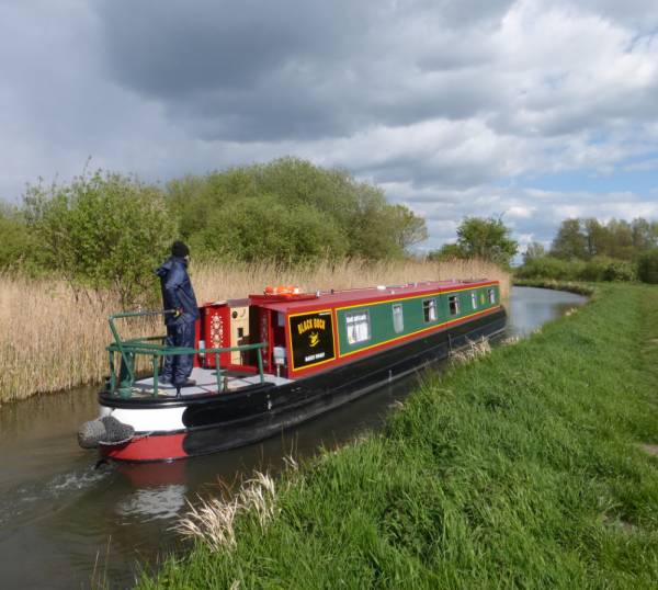 Alvechurch Duck